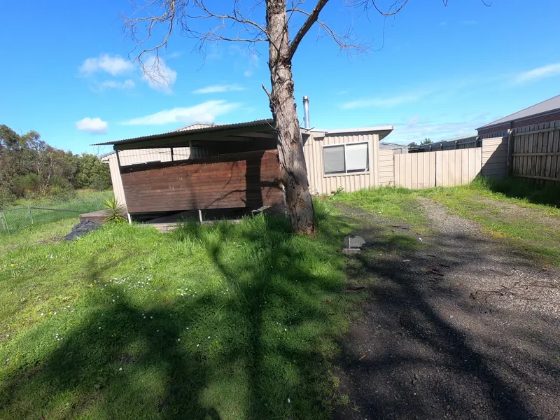 Large enclosed yards