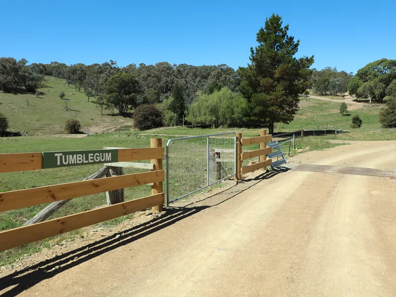 Tumblegum - Options Galore