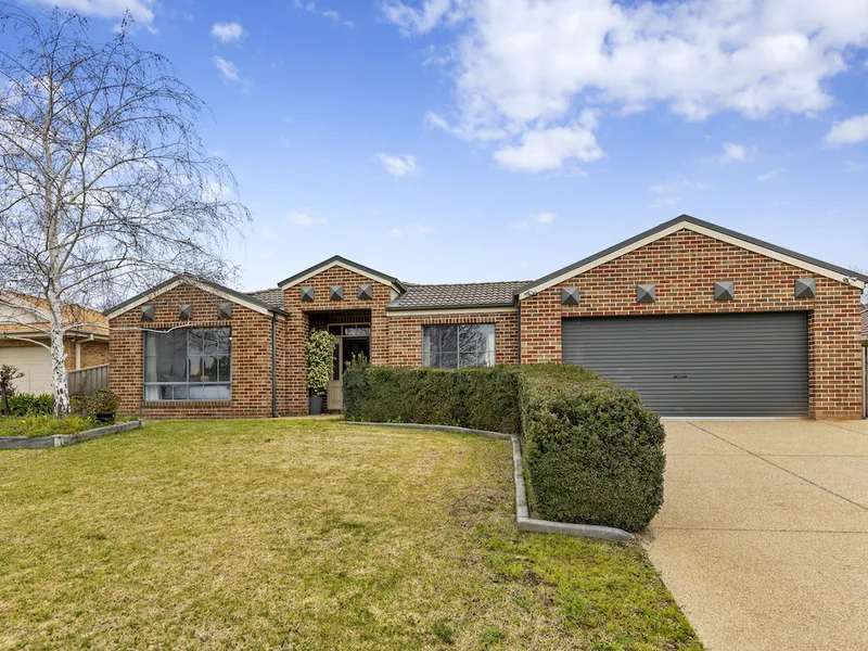 The Perfect Entertainer!