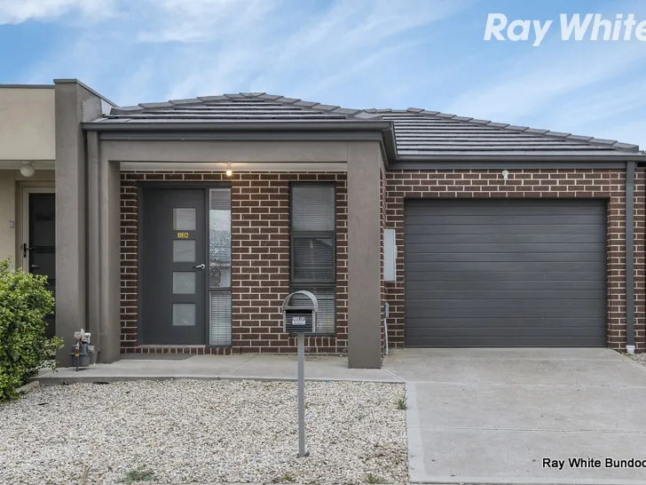 LOW MAINTENANCE DELIGHT!