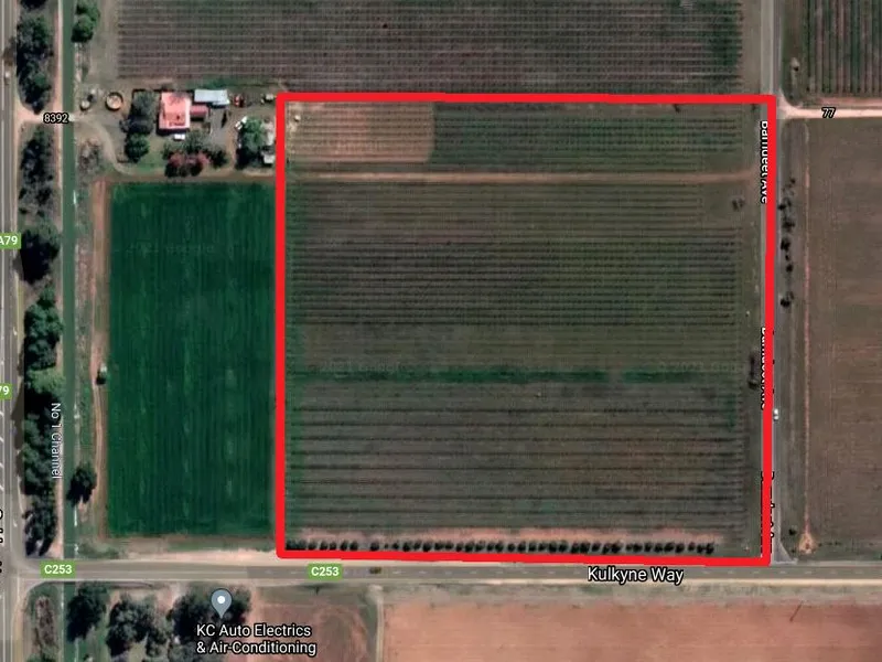 Rich Loam Great for Cash Cropping