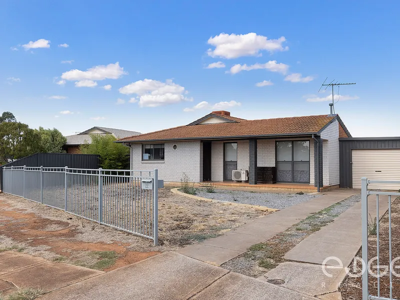 Idealistic Investment Dream!