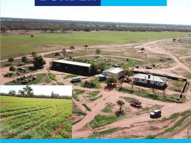 Ashleigh Downs Station