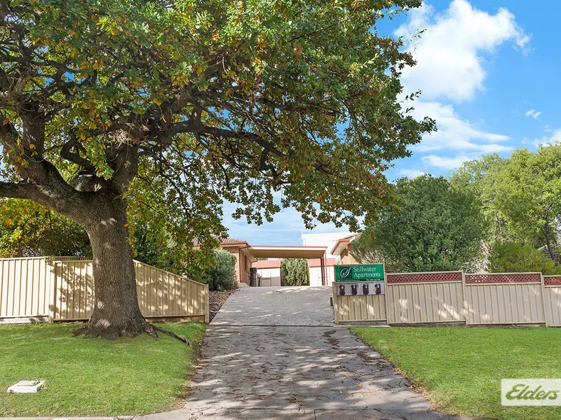 Lovely Two Bedroom Apartments/Business Opportunity
