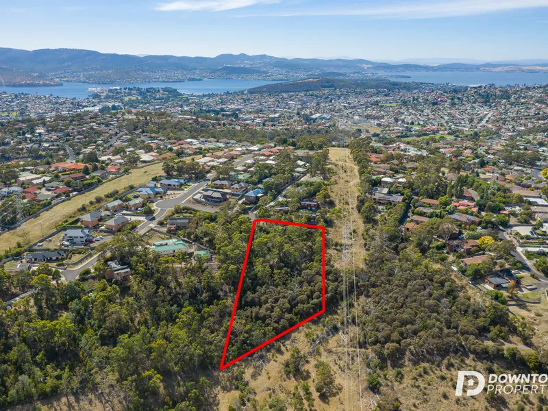 Build Your Own Dream Home!!