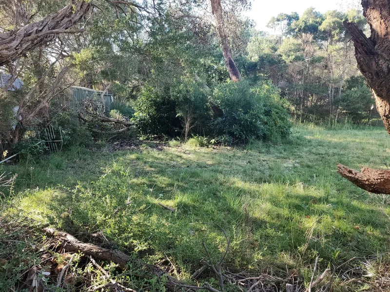 Come and see why the Ninety Mile Beach is so Special!