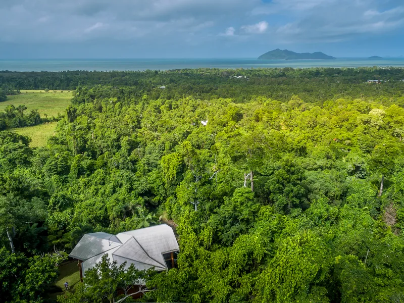 Architecturally Designed, Rainforest Seclusion !