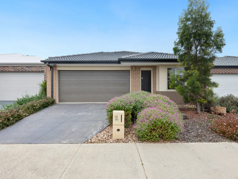 vendor must sell !! 12 neon st point cook vic 3030