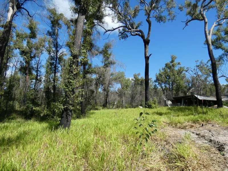 305 ACRES BACKING ONTO MOUNT MARIA