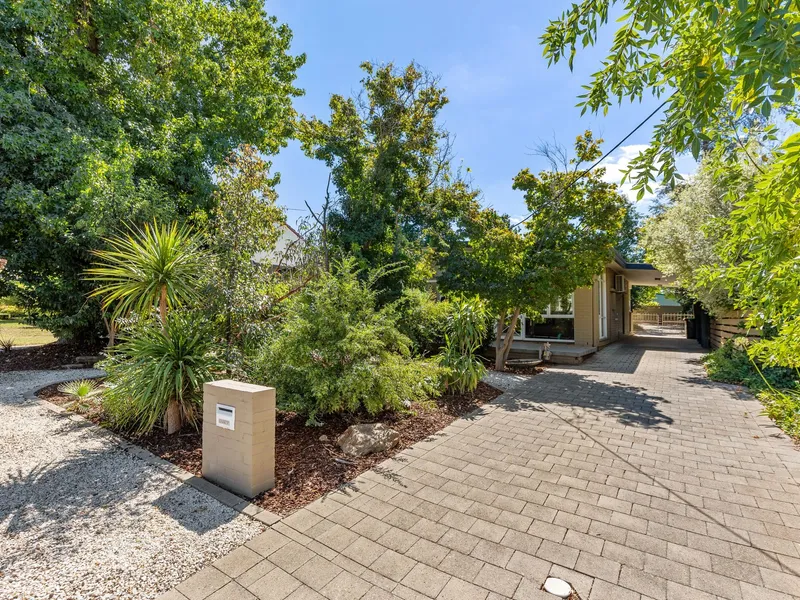 IN A CLASS OF ITS OWN