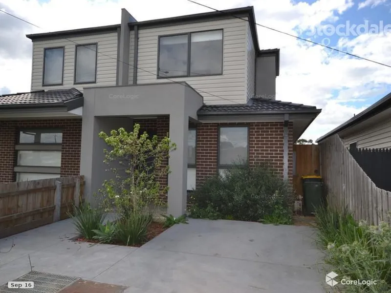 Just Painted with New Carpets