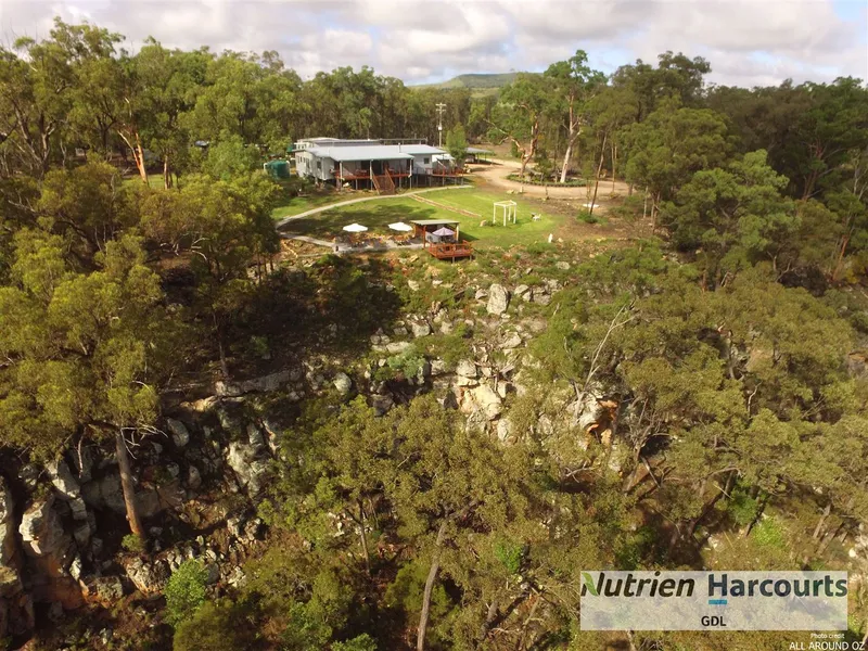 Soaring to New Heights!