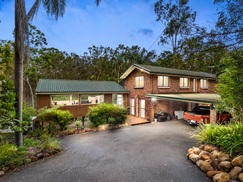 Amazing Bush Entertainers Delight!