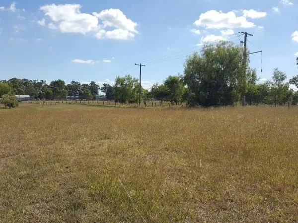 FIRST HOME OWNERS, CONSIDER YOUR OPTIONS