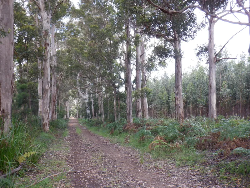 A Real Estate Passive Investment 74.034 Ha (182.94 Ac)