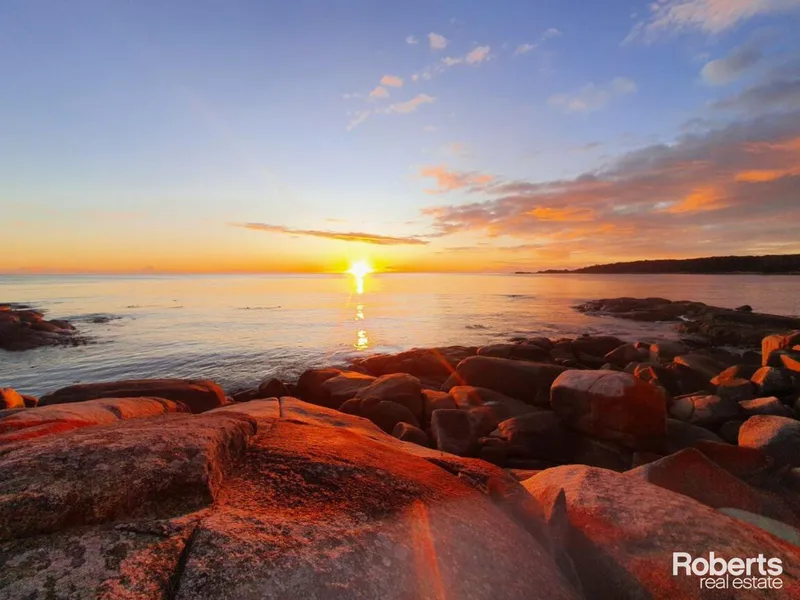 Sensational Seaton Cove