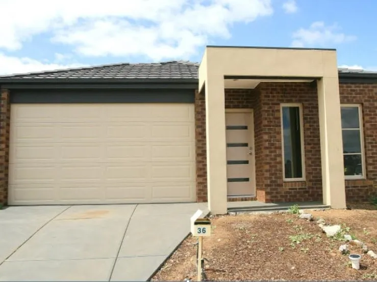 Family Home In Great Location! 