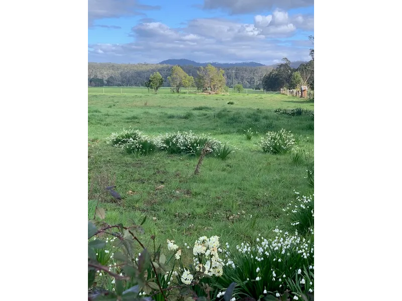 2000m2 BEAUTIFUL BLOCK - RICH SOIL