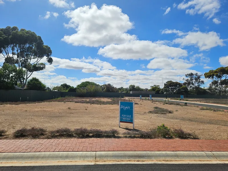 FULLY SERVICED ALLOTMENT