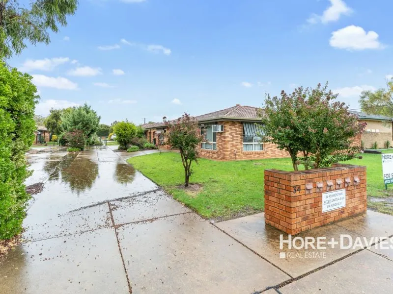 Neat & Tidy Investment