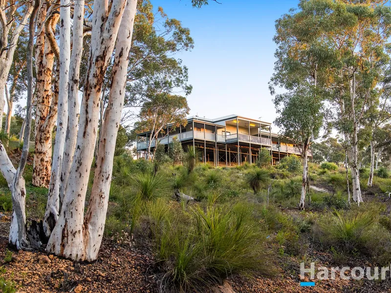 Wildernest with stunning Views!