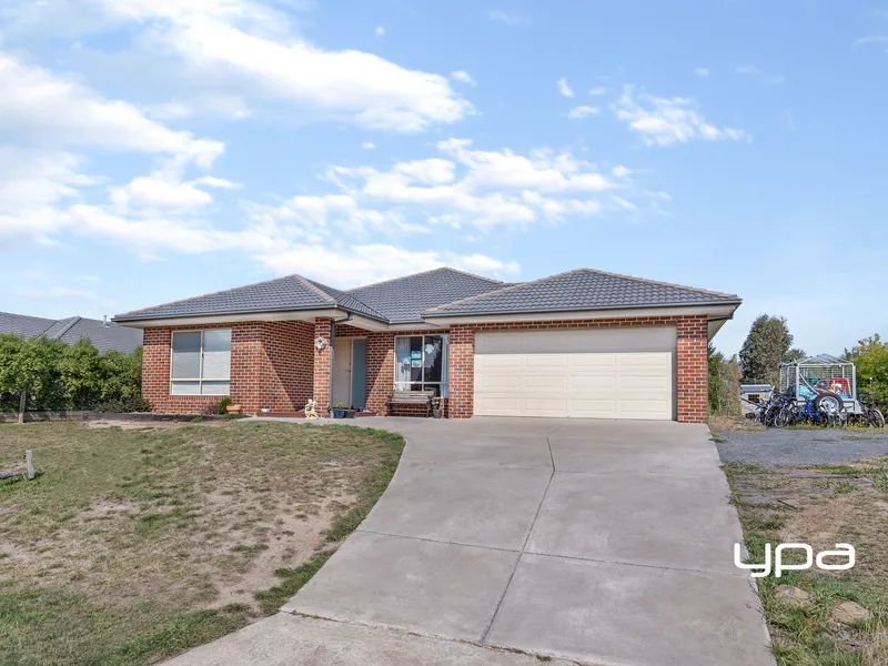 Delightful Family Setting