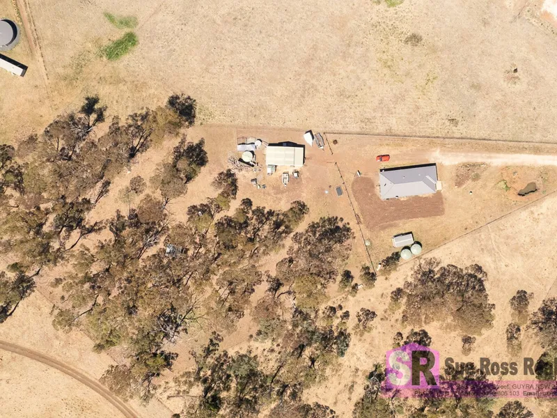 A Home Among the Gum Trees