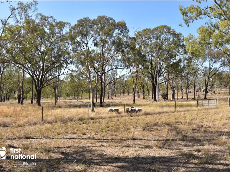 COUNTRY LIFESTYLE - NO HASSLE!!