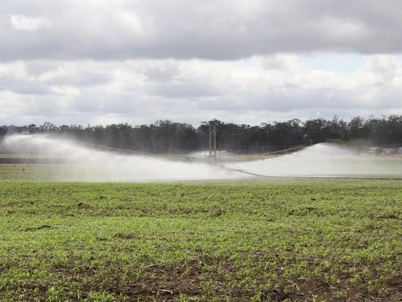 Irrigation and Hay Farm on 280 Acres.