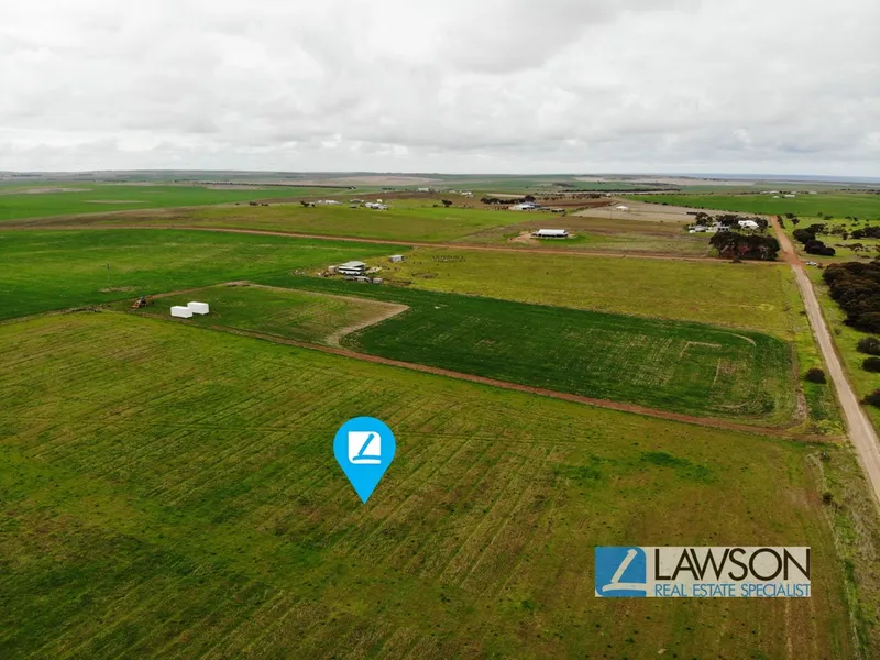 5 Acres Ready to Please