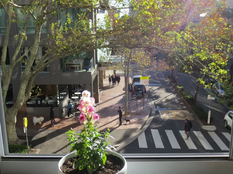 Favorite Sunny Studio