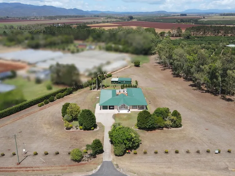 The Perfect Entertainer