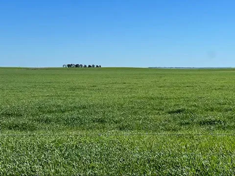 Well Positioned Elevated Crop, Graze + Bonus Limestone Quarry