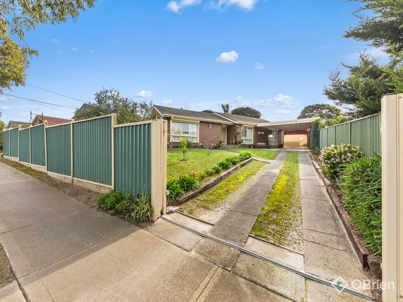 Your Perfect Oasis Awaits! Auction on August 12th!