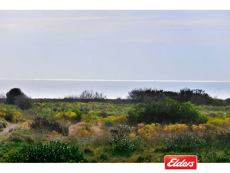 Sea views for this price?