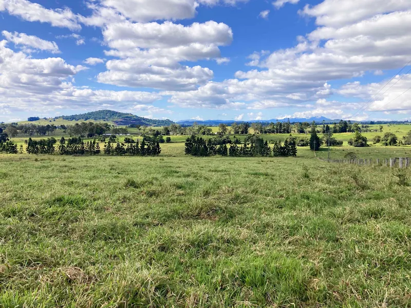 HIGH CALIBRE, RED SOIL GRAZING