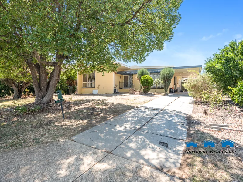 The Marvelous Modbury waiting for you!!!