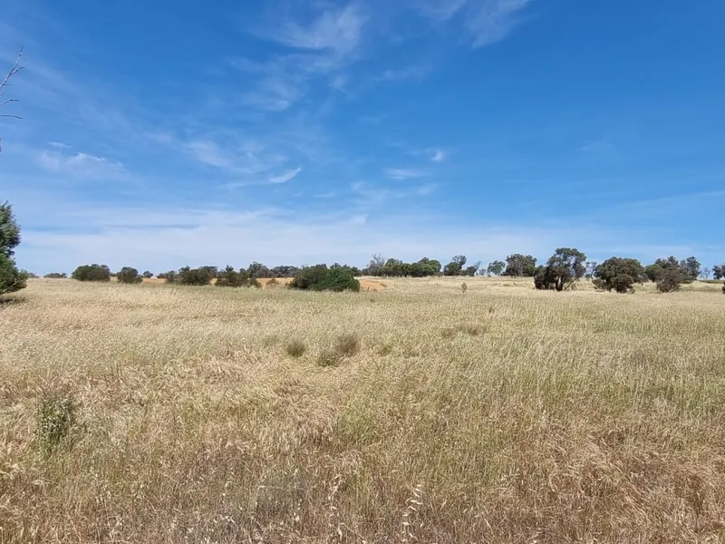 30 Acre 