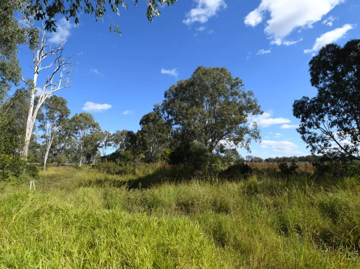 9.3 Acres of rich alluvial soil