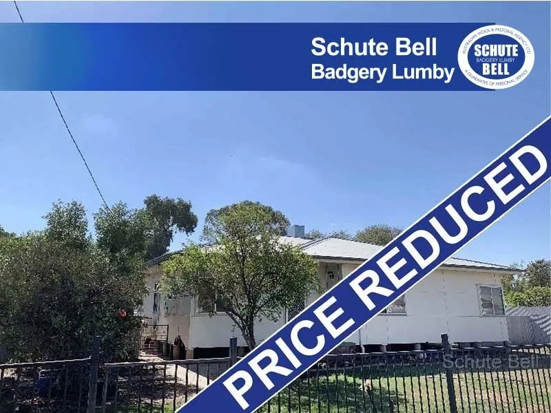 Large yard with lots of potential