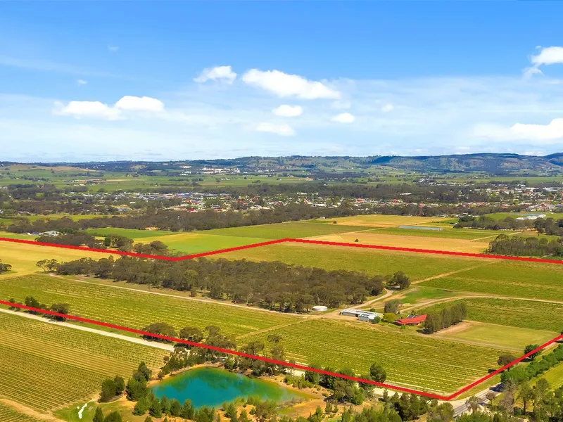 Premium Barossa vineyard in 'Grange' country!