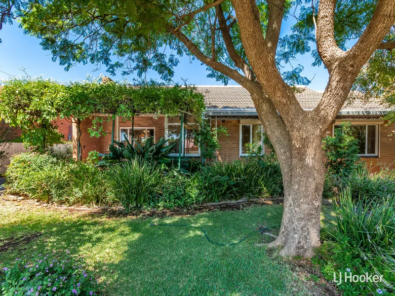 So Warm And Welcoming