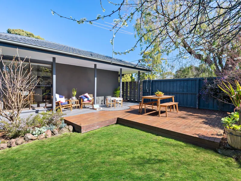 Sun-kissed garden oasis 