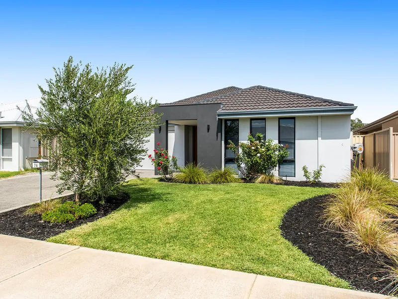 WOW - Picture Perfect!