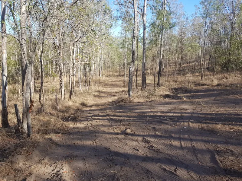Good Block ,32 hectares