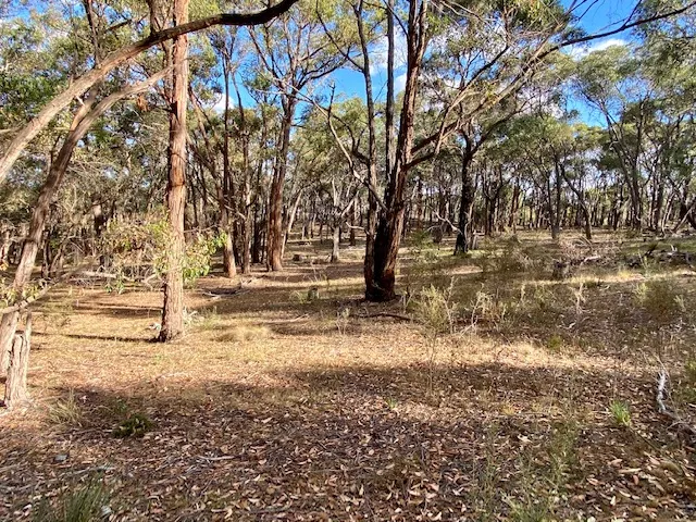 16 acres (Rural living zone)