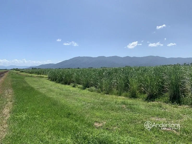 Acreage for Cattle, Small Crops, Cane