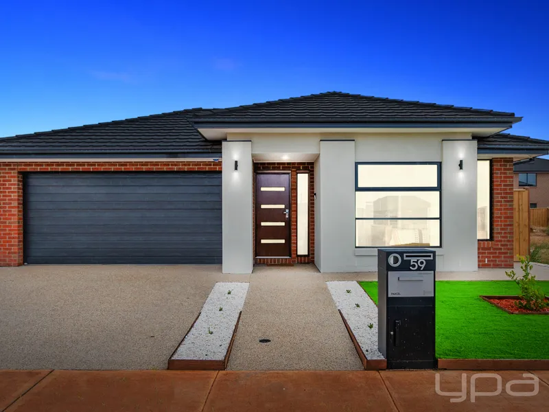 PERFECT FAMILY ENTERTAINER