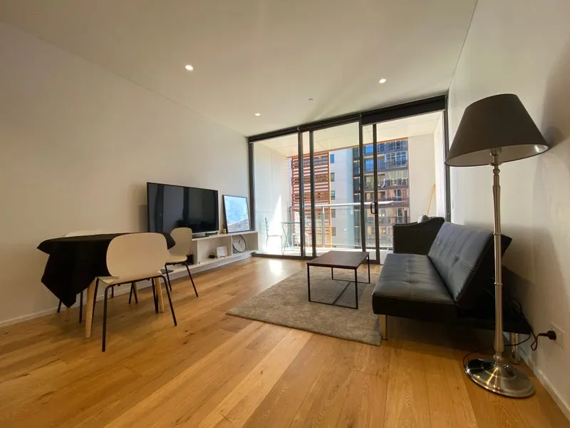 Stunning Studio for Lease!!! Walk to Central Station!