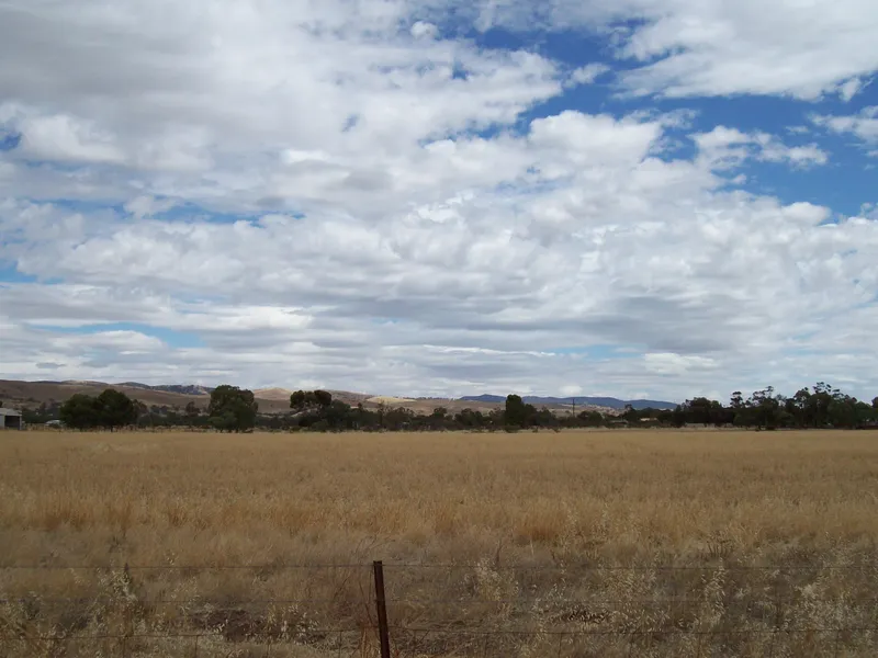 Ideal rural lifestyle opportunity